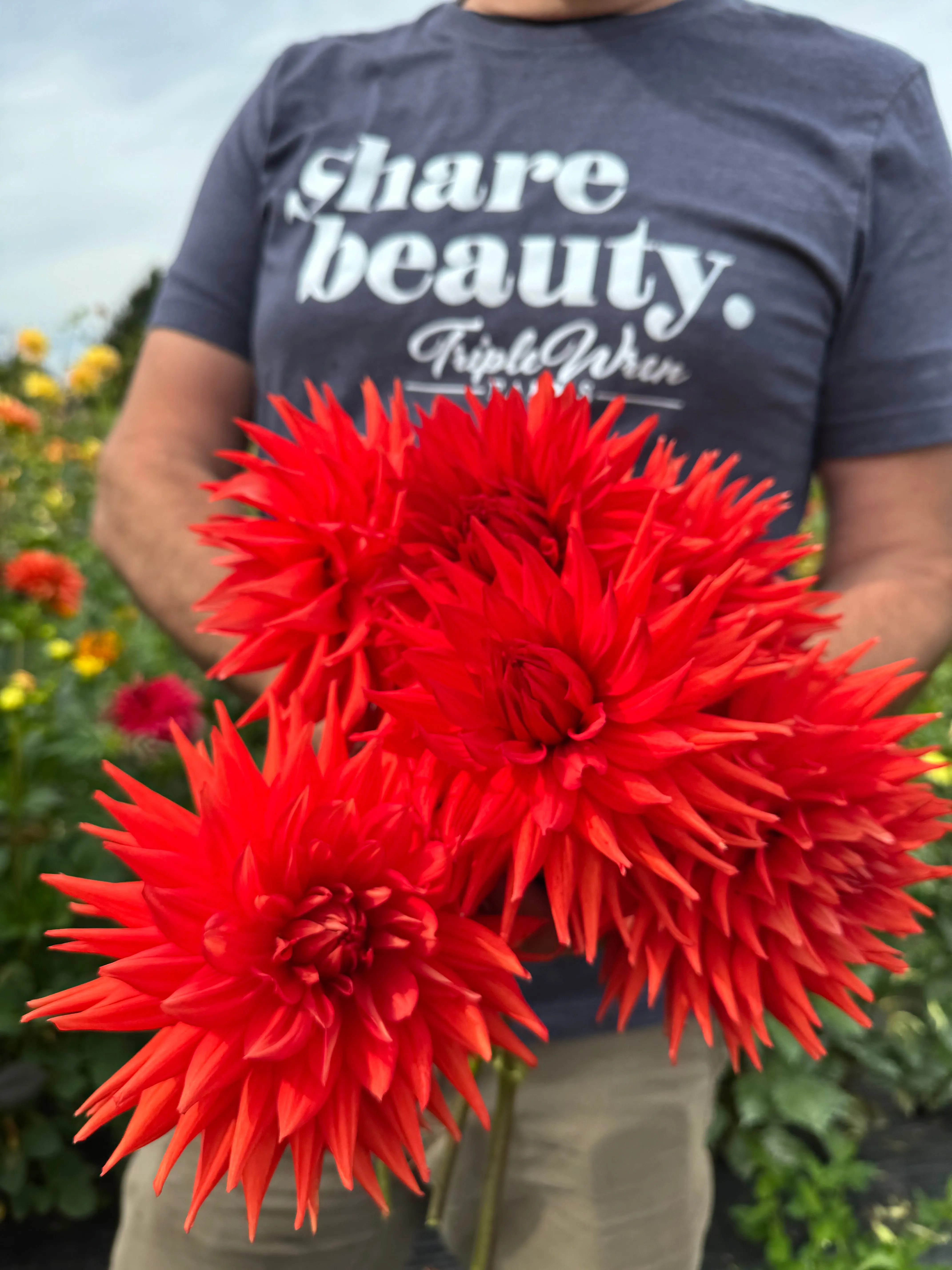 Bloomquist Tina Dahlia Tuber