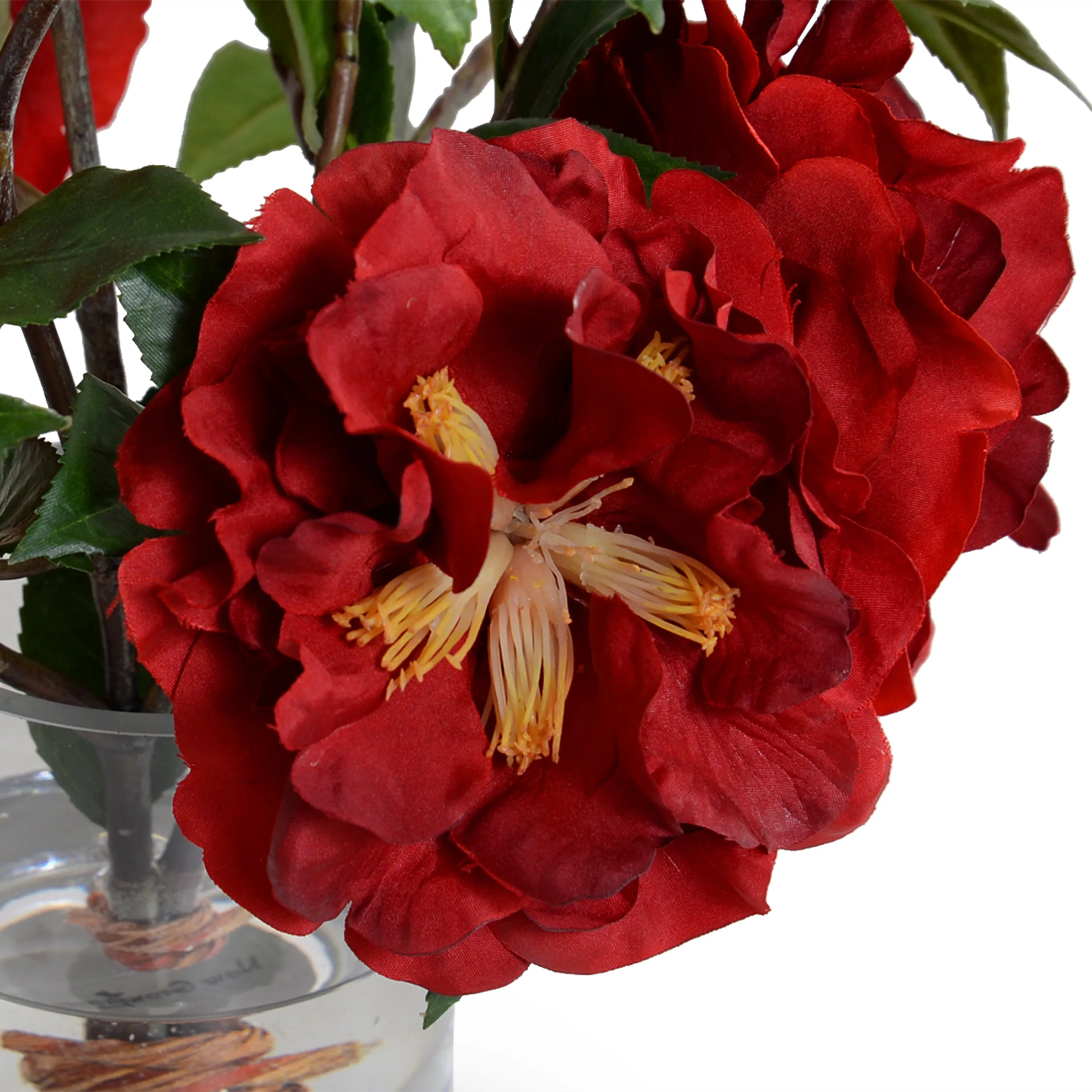 Camellia Cutting in Glass 12"H