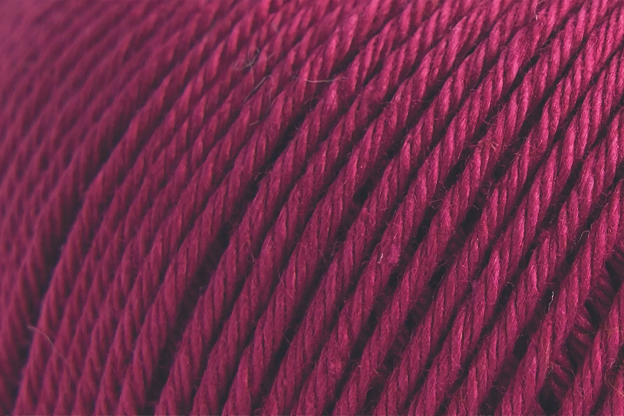 Petunia-872