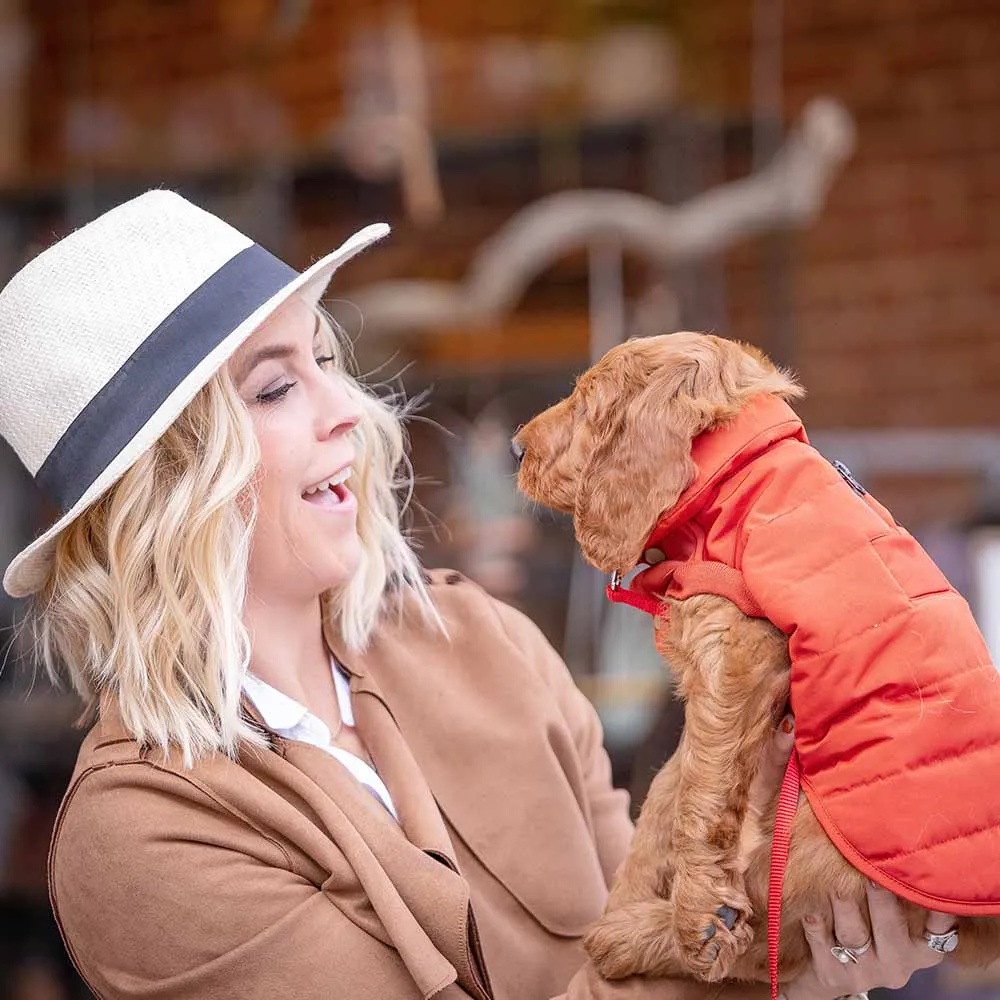 Windproof Waterproof Quilted Dog Puffer Jackets for Pets