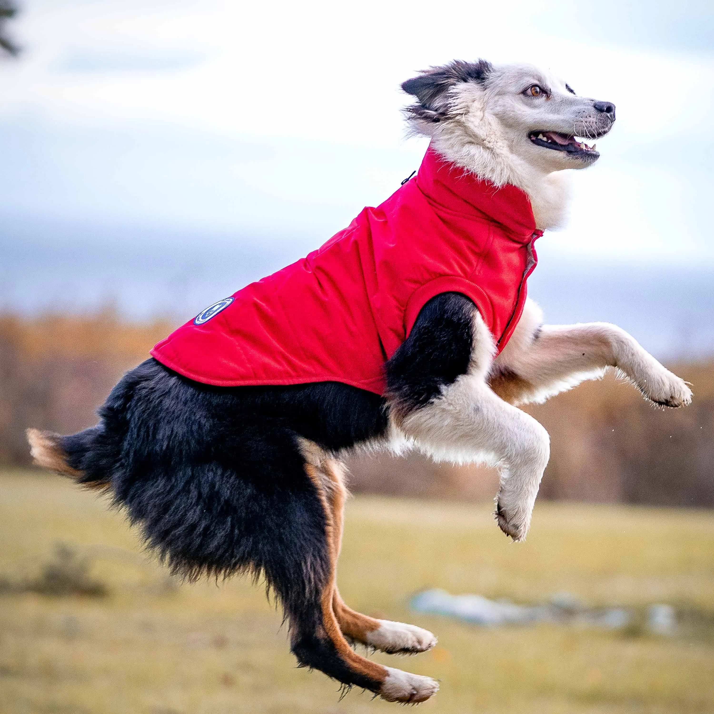 Windproof Waterproof Quilted Dog Puffer Jackets for Pets